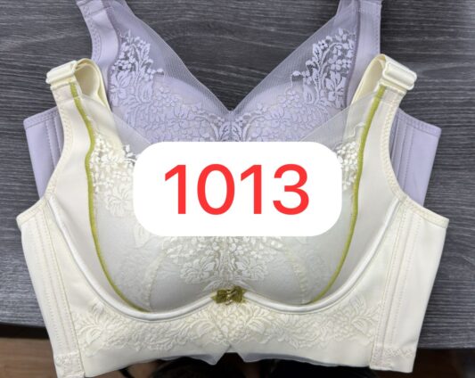 1013 TZ Shaping Bra