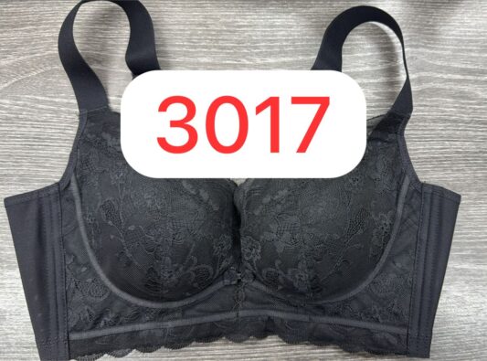 3017 TZ Shaping Bra