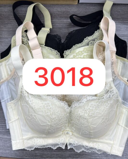 3018 TZ Shaping Bra